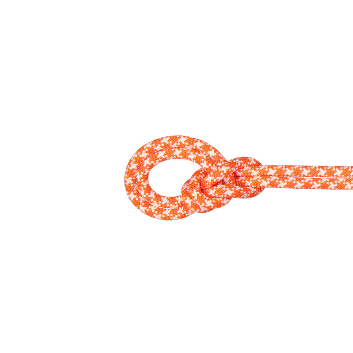 9.5 Crag Classic Rope
