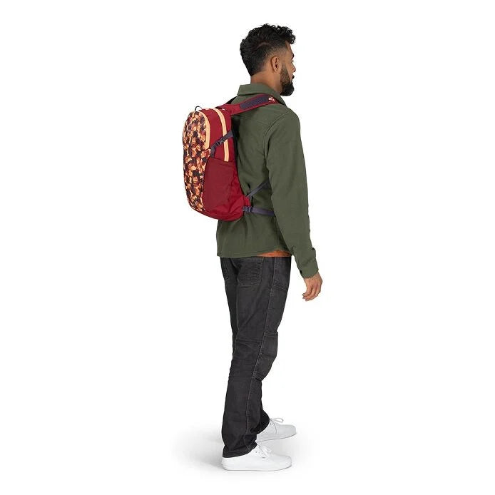 Daylite Daypack