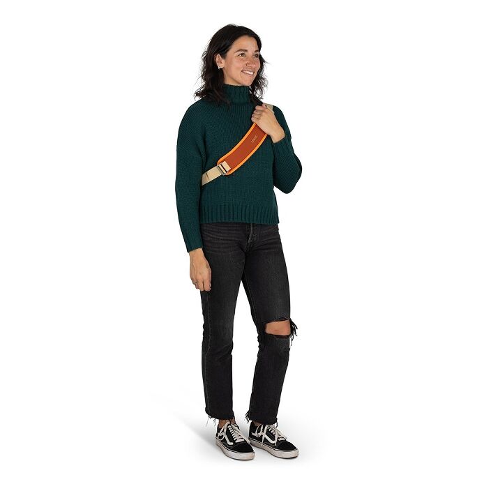 Daylite Messenger