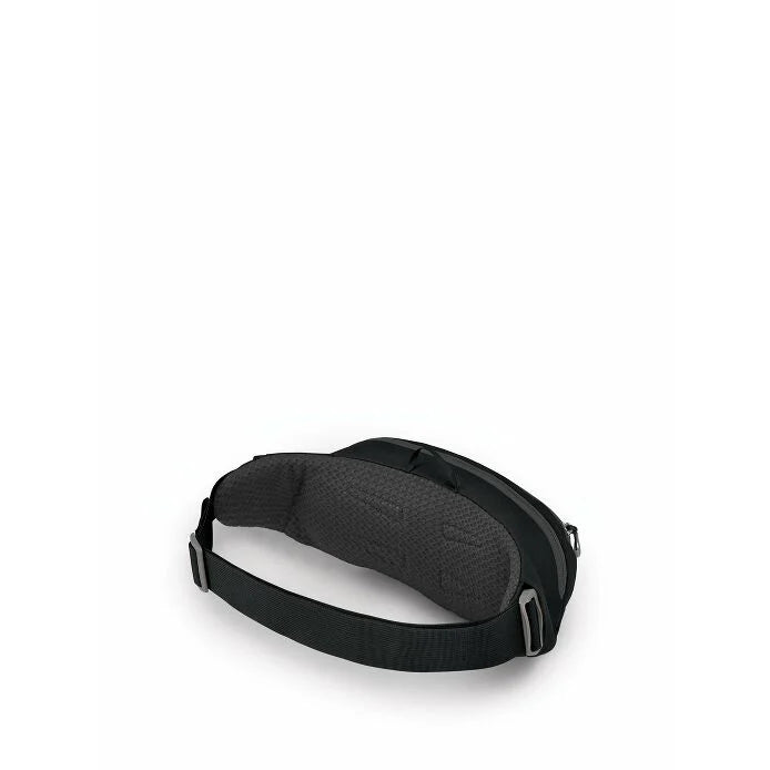 Daylite 2L Waist Pack