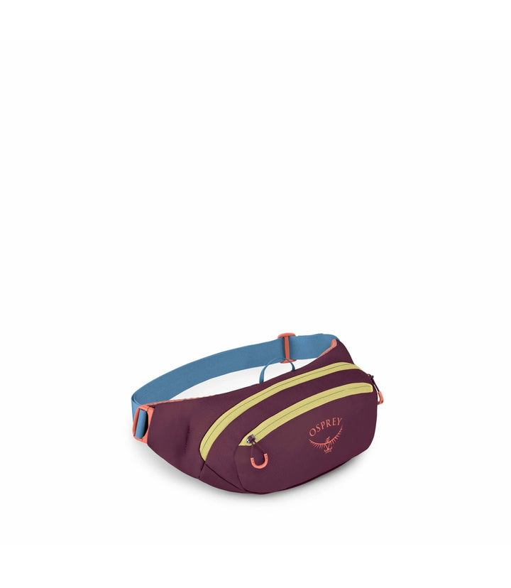 Daylite 2L Waist Pack