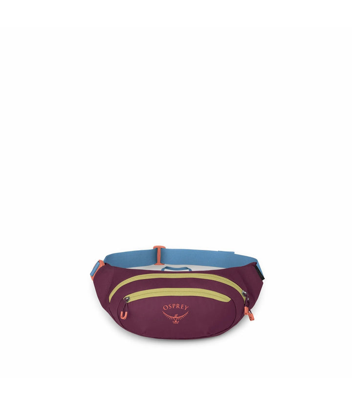 Daylite 2L Waist Pack