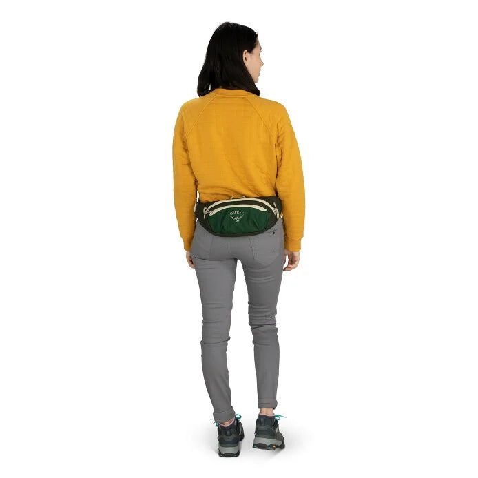 Daylite 2L Waist Pack