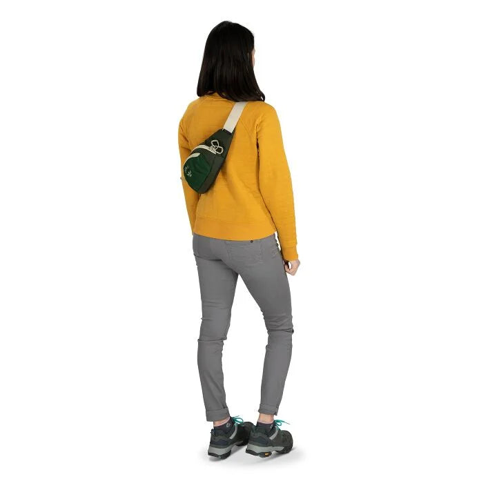 Daylite 2L Waist Pack
