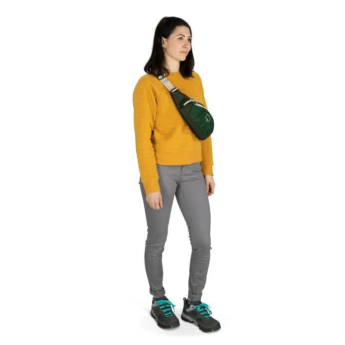 Daylite 2L Waist Pack