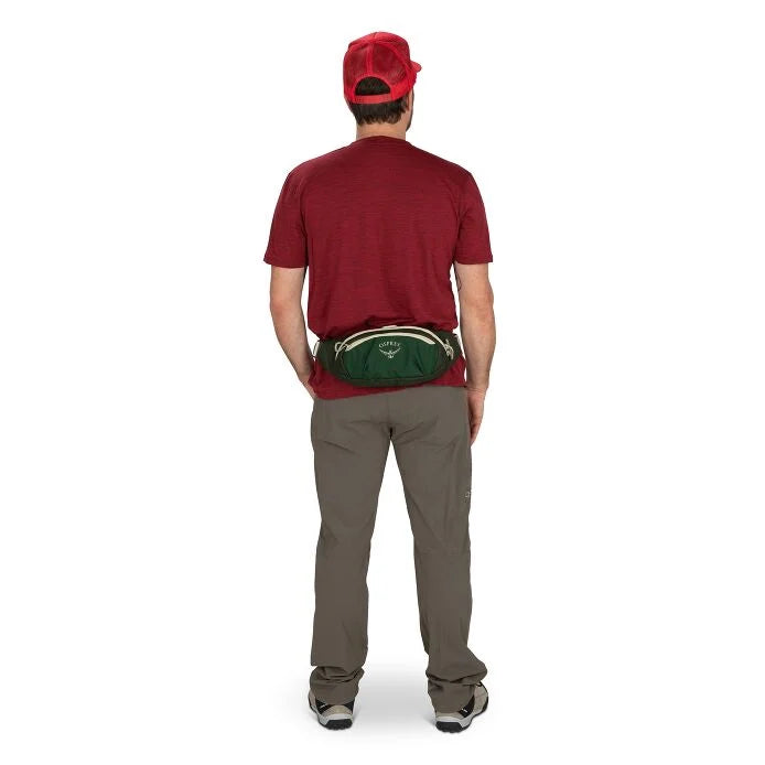 Daylite 2L Waist Pack