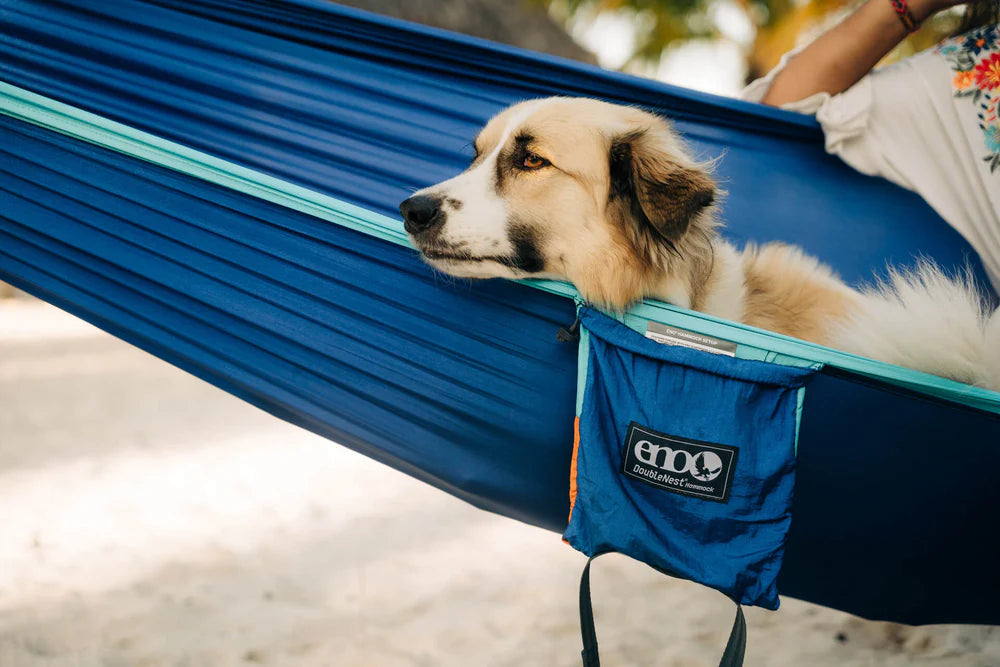 DoubleNest Hammock