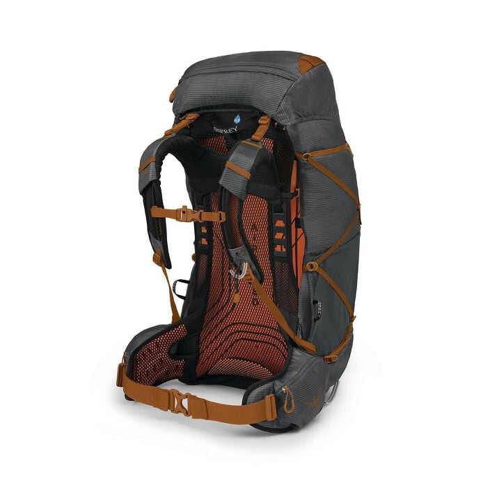 Exos 58L Ultralight Backpacking Pack