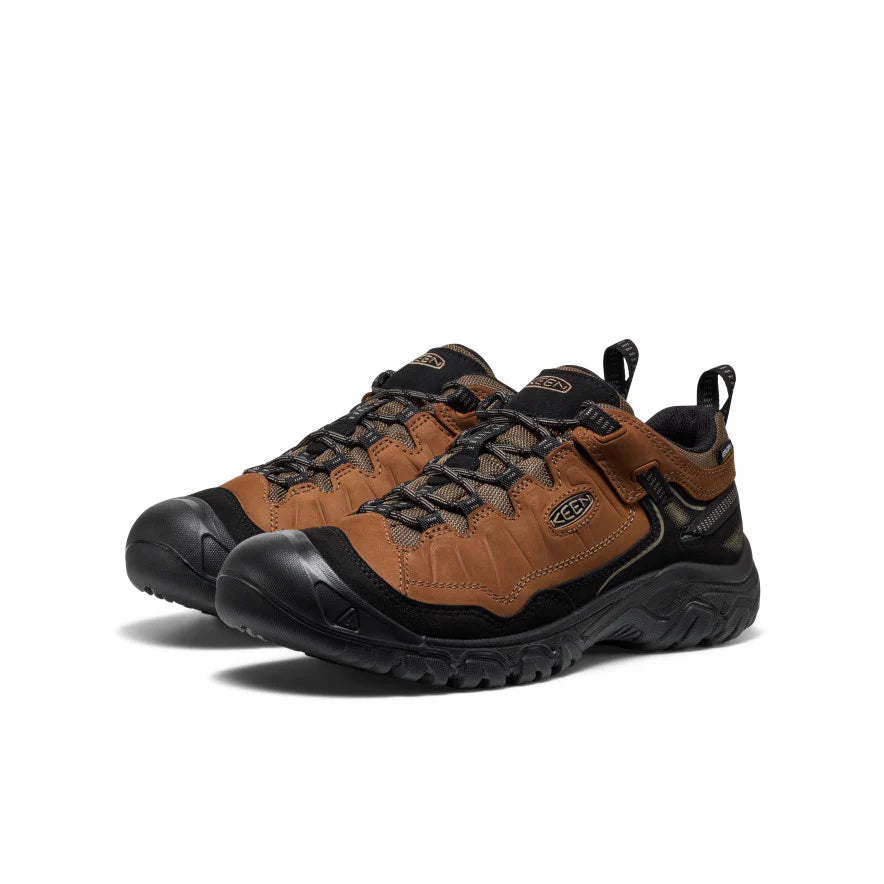 Men's Targhee IV Waterproof Hiking Shoe