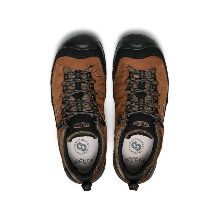 Men's Targhee IV Waterproof Hiking Shoe